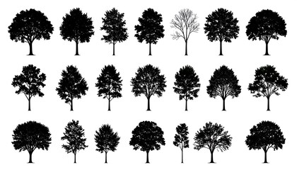 Collection of various tree silhouettes