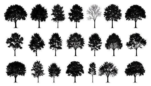 Collection of various tree silhouettes