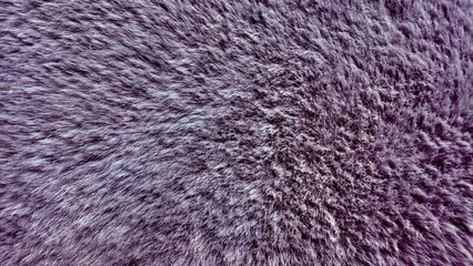 soft violet fur close up with detailed hair texture for luxury background or fabric design surface pattern use