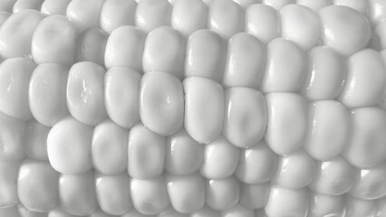 macro close up of white corn kernel texture with glossy surface detail perfect for food background or organic agriculture design use