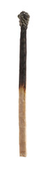 One burnt match isolated on white. Tool for starting fire