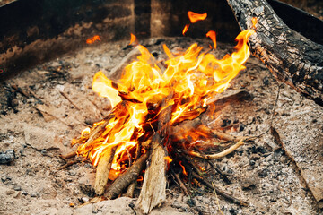 Cozy Campfire at Night – Warm Flames in the Outdoors