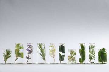Essential oils with different plants in bottles on light grey background