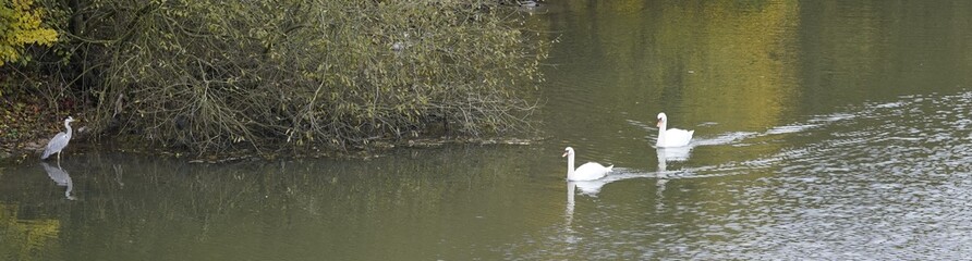 water flowing into the water