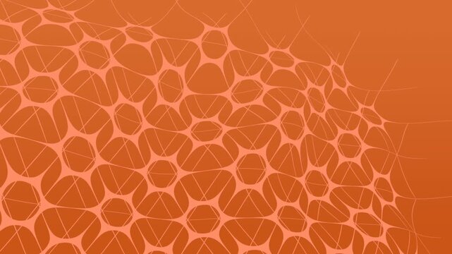 Hexagon Stars Background