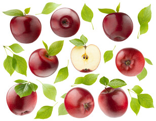 Juicy red apples rich set, whole and cut on half, slices with green leaves, tails, different sides isolated on white background. Summer fresh natural fruits as design elements.