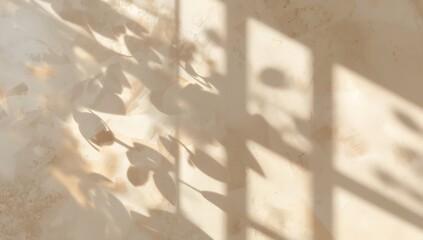 Shadows of leaves and window frame cast on a light beige wall creating a soft and dreamy aesthetic