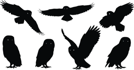 Fotobehang Uiltjes Owl silhouette set, flying and perched owl vector clipart, nocturnal bird illustration, spooky Halloween wildlife design, night predator symbol, witchcraft and mystery icons  © Hasem Creative