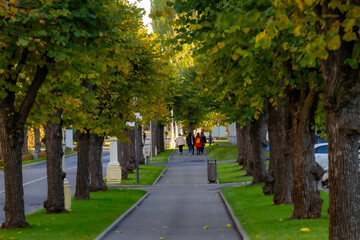 Endless linden alley at VDNKh with lush green leaves and first yellow hints of autumn. Manicured...