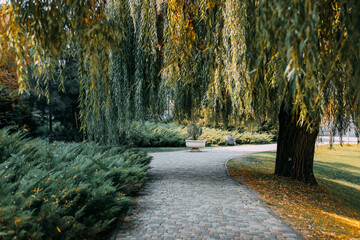 Serene pathway through a lush green landscape in autumnal colors at a peaceful park