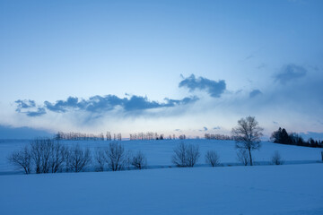 Winter hill with morning mist
