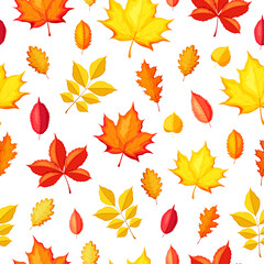 Fototapeta premium Seamless pattern with autumn leaves in cartoon style. Vector illustration of a pattern with colored leaves: maple, oak, aspen, chestnut isolated on white background. Seasonal wrapping paper.Packaging.