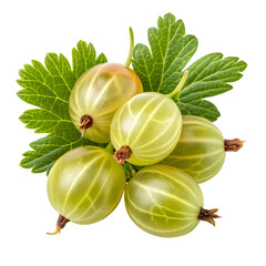 Fresh green gooseberries with leaves isolated on transparent background
