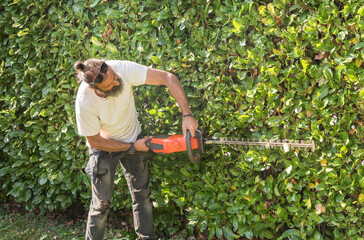 Professional gardener cutting a hedge with an electric hedge trimmer during autumn garden...