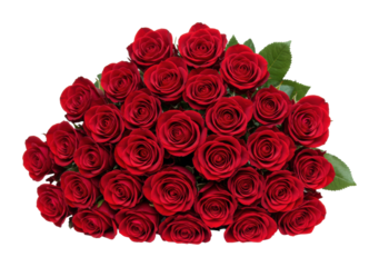Celebrating love with a breathtaking bouquet of red roses floral arrangement indoor romance isolated on transparent background