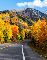 Fototapeta premium road in autumn
