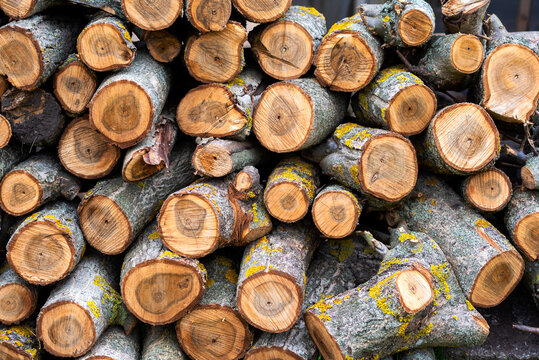 Firewood stacked texture. Stacked wooden sawn trunks of fruit trees. Pile of raw tree wood on paving stones.