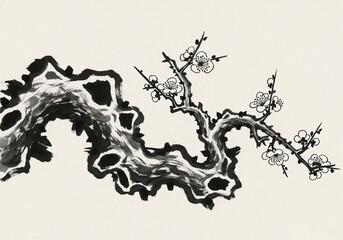 늙은 살구나무 가지