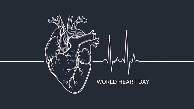World Heart Day banner featuring anatomical heart drawing and heartbeat line illustration for cardiovascular health awareness promotion - Powered by Adobe