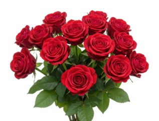 Bouquet of fresh red roses floral arrangement studio setting natural beauty love symbolism isolated on transparent background