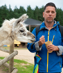Raksi, Cesis Municipality, Latvia 08.05.2025. A blind man trying to feed a llama at the Raksi...