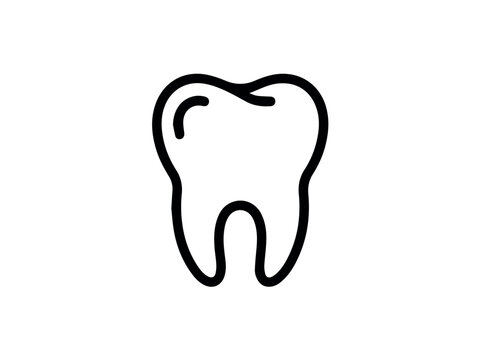 Tooth dental care teeth molar dentist health oral hygiene anatomy odontogram icon vector line vector