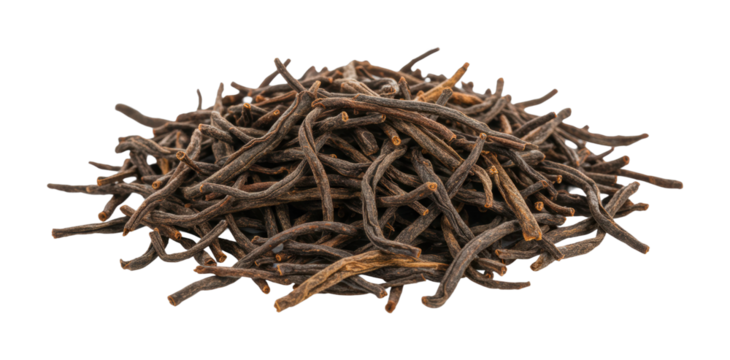 Harvesting dried licorice roots herbal market natural ingredients spice environment botanical concept isolated on transparent background