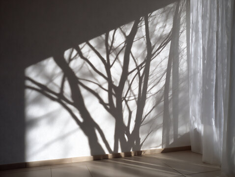 Fototapeta minimalist sunlight and shadow patterns on wall