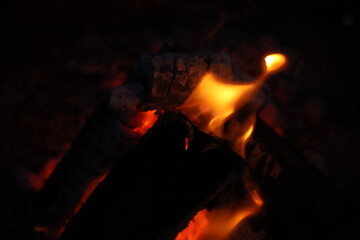 Burning Wood Logs with Glowing Embers