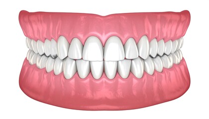 Healthy Human Teeth with Front View.