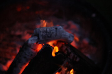 Burning Wood Logs with Glowing Embers
