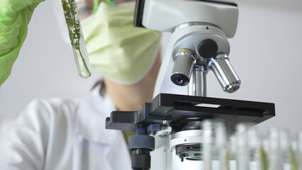 Female scientist in green protective mask and gloves holding test tube with plant sample,...