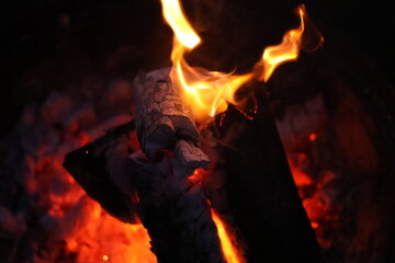 Burning Wood Logs with Glowing Embers