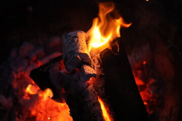 Burning Wood Logs with Glowing Embers
