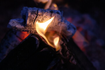 Charred Logs with Glowing Purple and Pink Embers