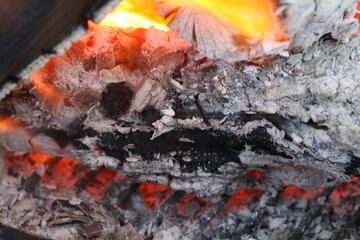 Charred Logs with Grey Ash and Flames