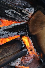 Charred Logs with Grey Ash and Flames