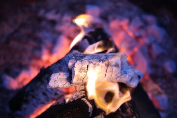 Charred Logs with Glowing Purple and Pink Embers