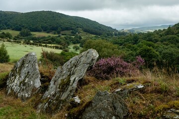 Lush Green Hills and Rocks in Rural Landscape