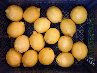 Fresh lemons in a market