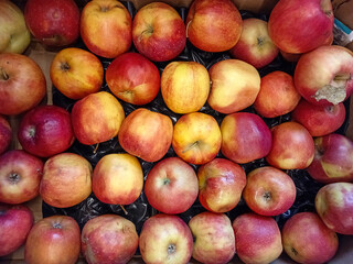Red apples in a market
