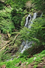 新緑の滝