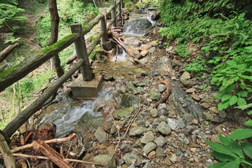 山の湧き水