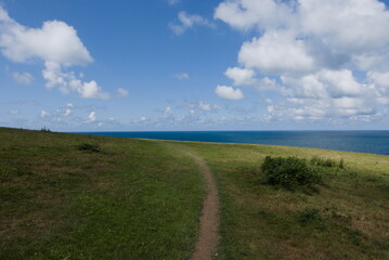 Grassy cliff in Cornwall