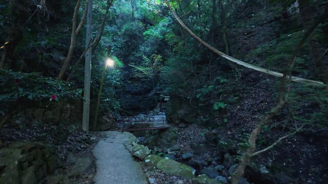 修験道の滝行「文蔵の滝までの道」 和歌山県かつらぎ町　Pilgrimage Path to Bunzo Falls: Shugendō Waterfall Training Route in Katsuragi, Wakayama