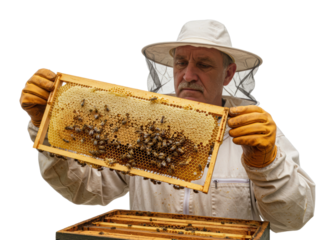 Bee keeping activity apiary of beekeeper outdoor environment hive management techniques isolated on transparent background