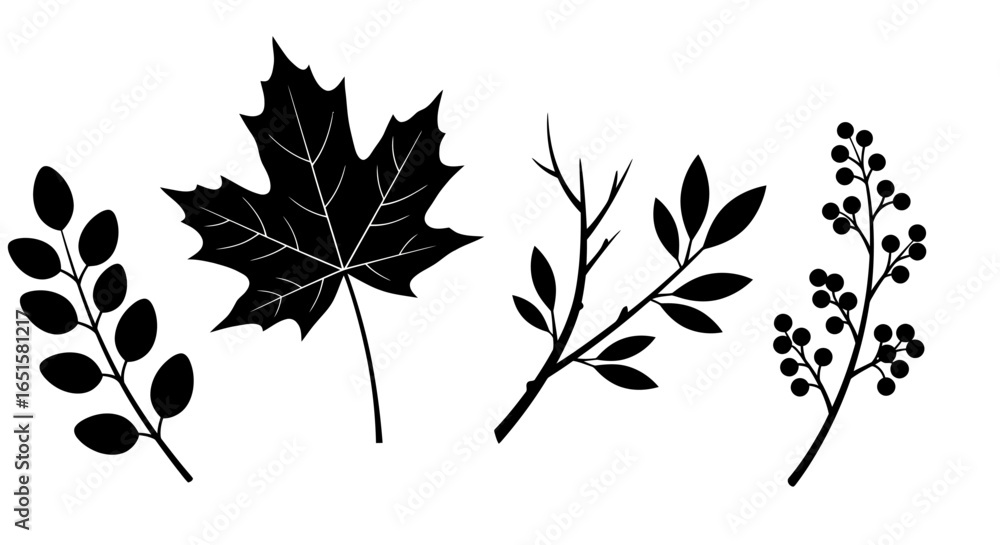 Poster high-resolution vector png image featuring a collection of four distinct leaf silhouettes: a maple l