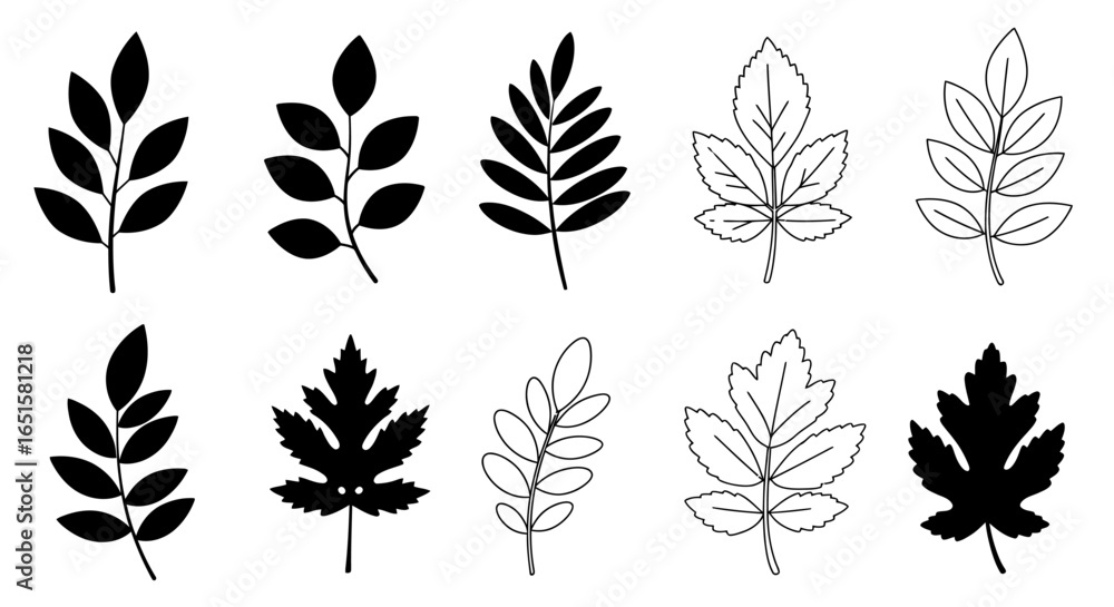 Poster a collection of various stylized leaf illustrations, presented in both solid black and outlined styl