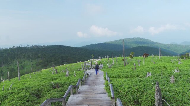 大台ヶ原の木道を歩く　Walking along the boardwalks of Odaigahara　(奈良県大台ヶ原で撮影)

