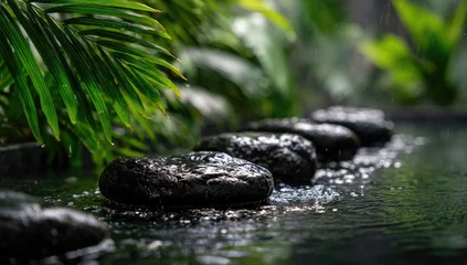 Fototapete Toilette Stepping stones of dark, wet rock in shallow water, nestled amongst lush, green tropical foliage.  Sunlight glints on the water's surface  © mountspace